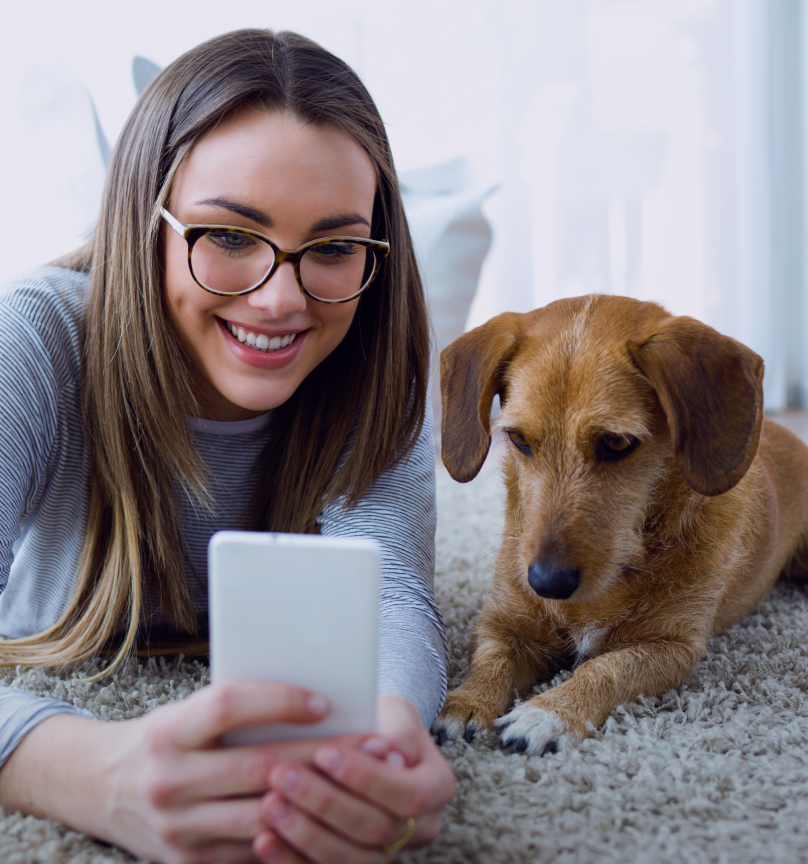 vetdesk-home-banner-grid