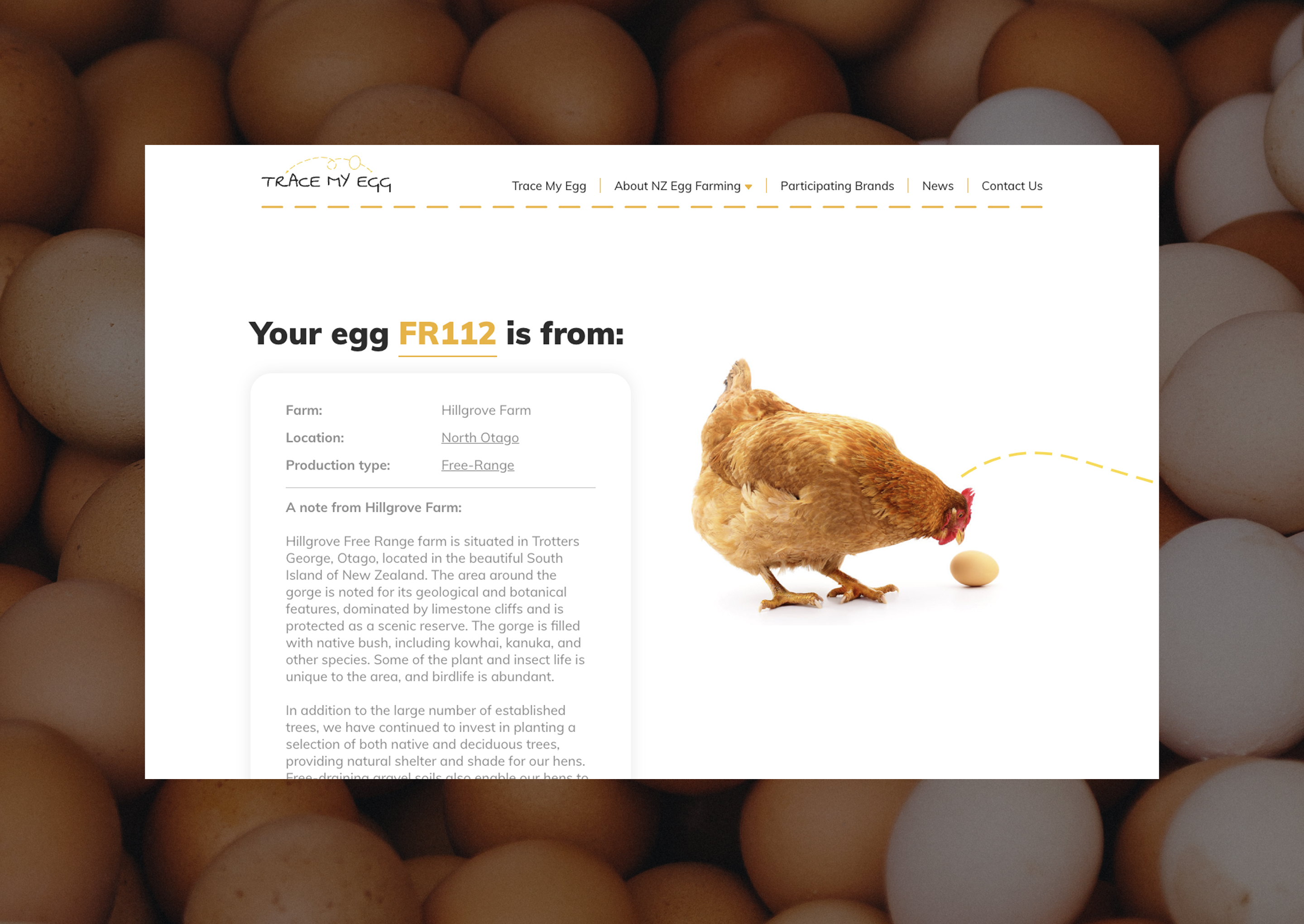 trace my egg desktop