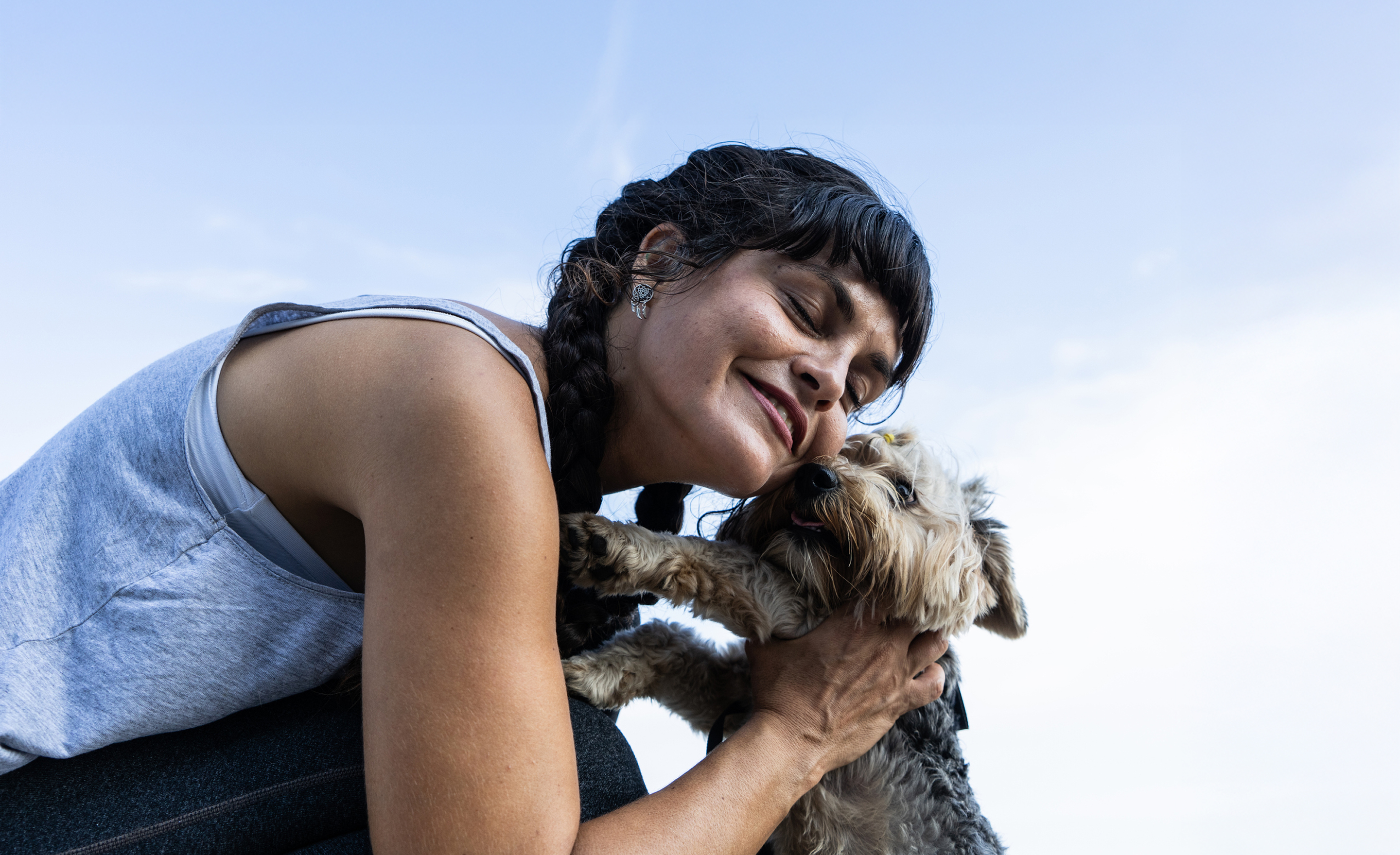 vetdetsk-mobile app body cover